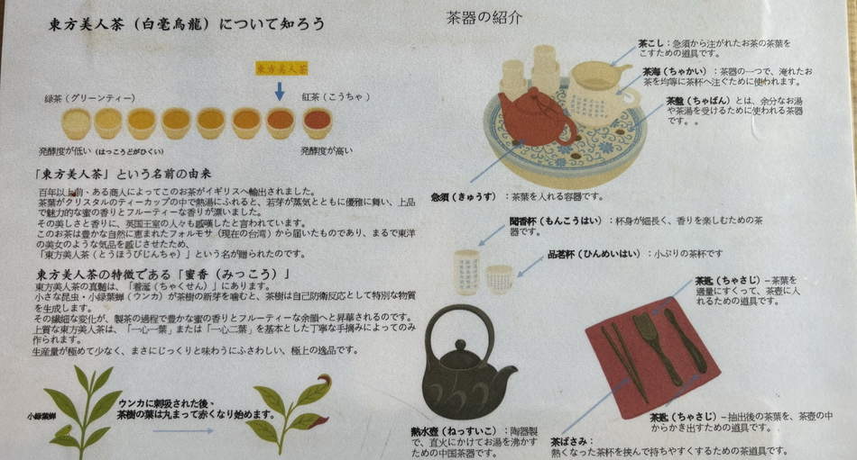 東方美人茶の由来と茶器の説明が書かれた日本語の資料