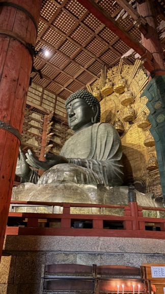 夜間参拝で見た東大寺の大仏