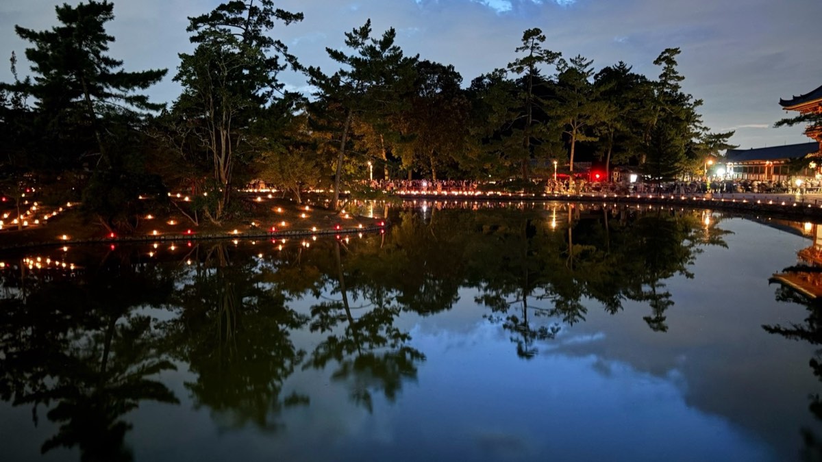 なら燈花会のろうそくが鏡池のまわりに並び、水面に映っている